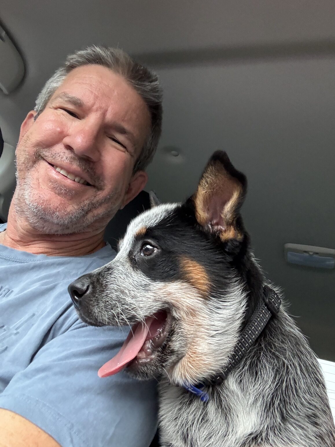 Dr. Craig Pullen, Partner Veterinarian at The Farm & Family Vets